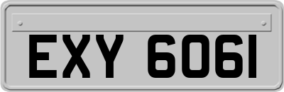 EXY6061