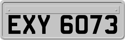 EXY6073