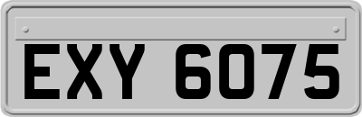 EXY6075