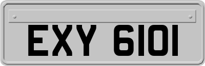 EXY6101