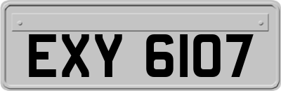 EXY6107