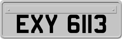 EXY6113