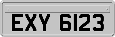 EXY6123