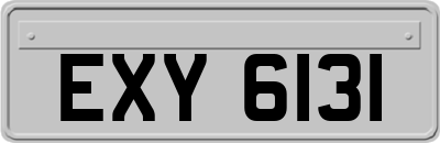 EXY6131
