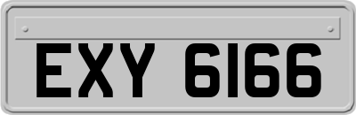 EXY6166