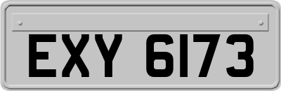 EXY6173