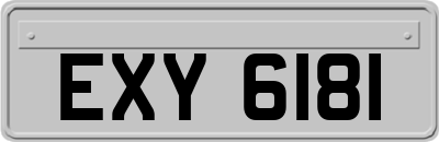 EXY6181