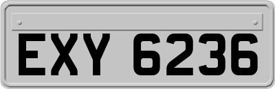 EXY6236