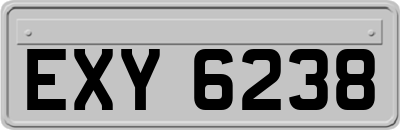 EXY6238