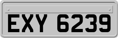 EXY6239