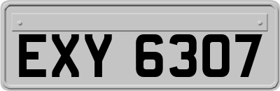 EXY6307
