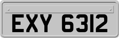 EXY6312