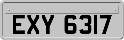 EXY6317