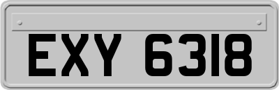 EXY6318