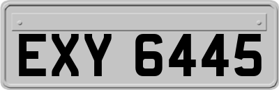 EXY6445