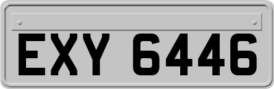 EXY6446