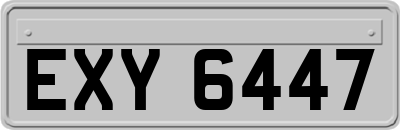 EXY6447