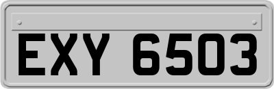 EXY6503