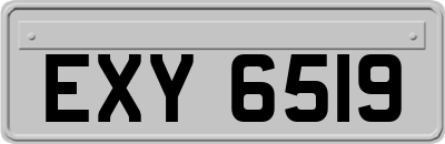 EXY6519