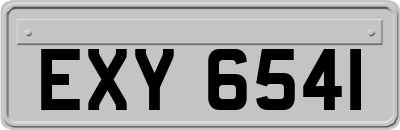 EXY6541