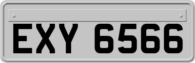 EXY6566