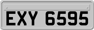 EXY6595