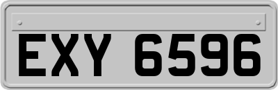 EXY6596