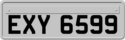 EXY6599