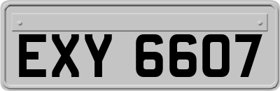 EXY6607
