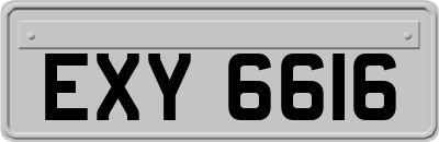 EXY6616