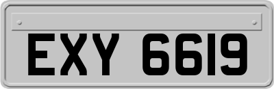 EXY6619