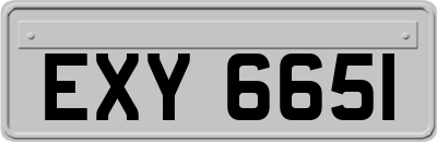EXY6651