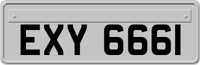 EXY6661