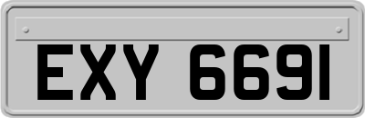 EXY6691