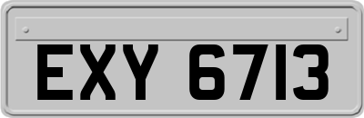 EXY6713