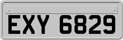 EXY6829