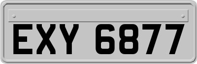 EXY6877