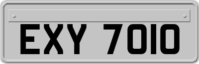 EXY7010