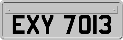 EXY7013