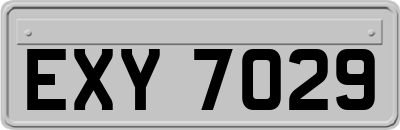 EXY7029