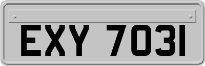 EXY7031