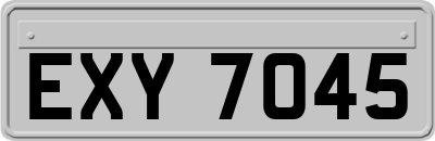 EXY7045