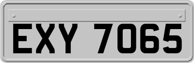 EXY7065