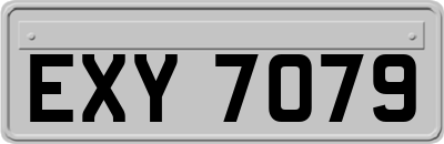 EXY7079