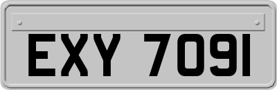 EXY7091
