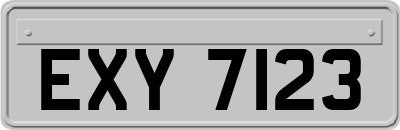 EXY7123