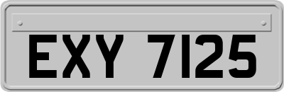 EXY7125