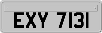 EXY7131