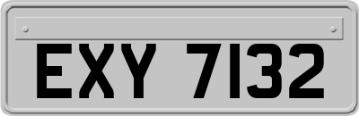EXY7132