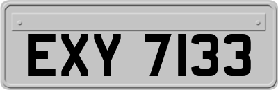 EXY7133